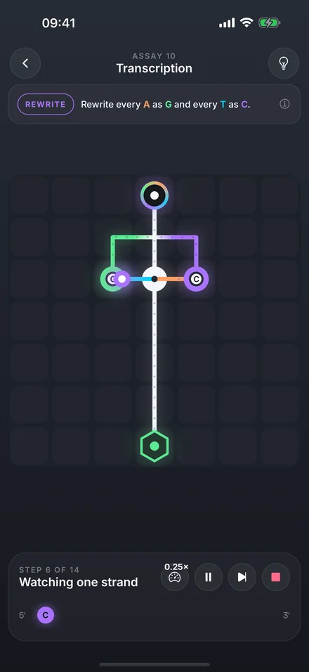 Watching one strand in the game: a bead stops partway through the machine at step 6 of 14, with playback controls below.
